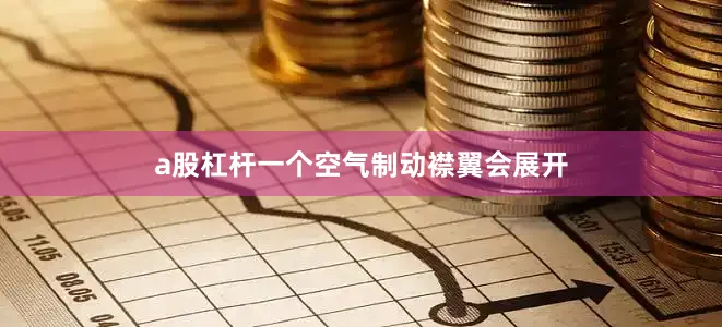a股杠杆一个空气制动襟翼会展开