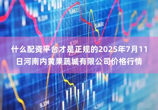 什么配资平台才是正规的2025年7月11日河南内黄果蔬城有限公司价格行情