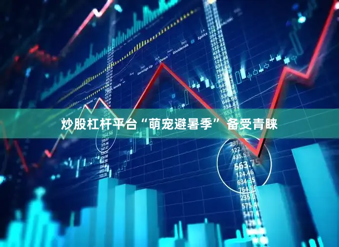 炒股杠杆平台“萌宠避暑季” 备受青睐