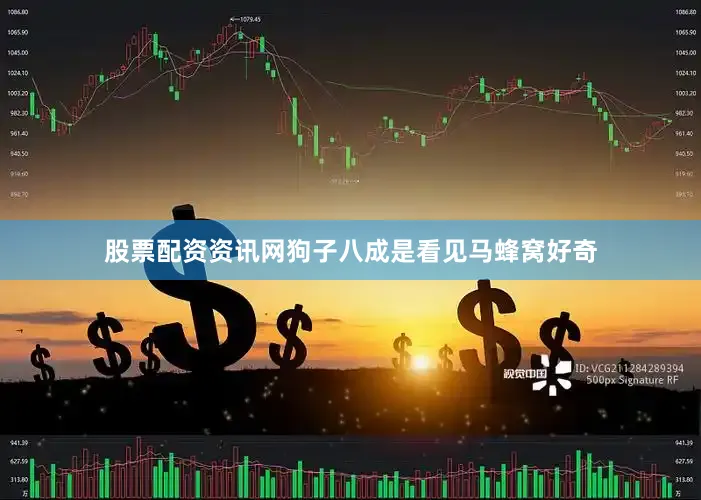 股票配资资讯网狗子八成是看见马蜂窝好奇