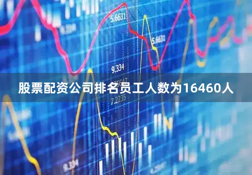 股票配资公司排名员工人数为16460人